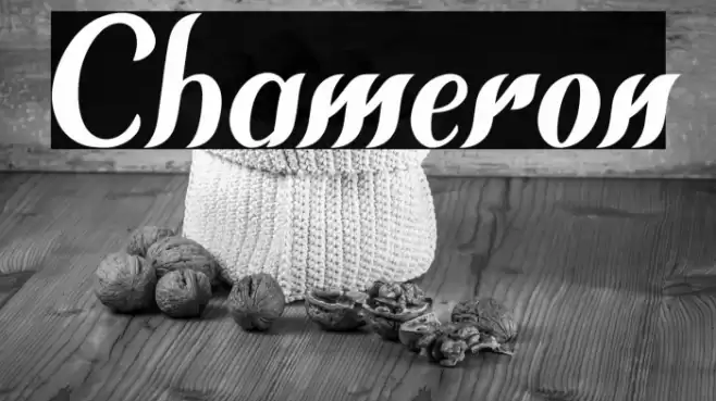 Chameron Font examples