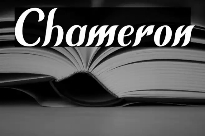 Chameron Font examples