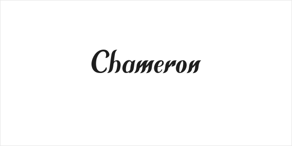Chameron Logo