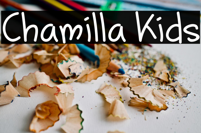 Chamilla Kids Example 2