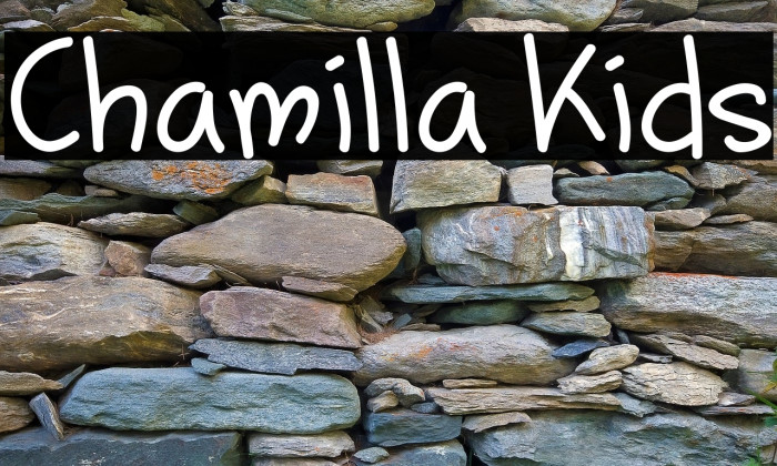 Chamilla Kids Example 3