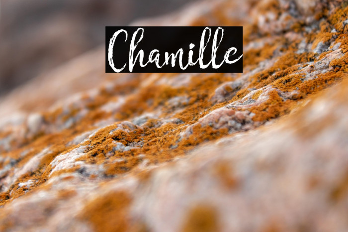 Chamille Example 1
