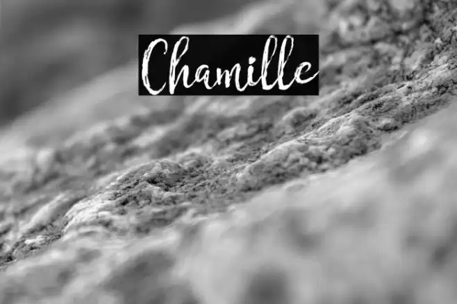 Chamille Font examples