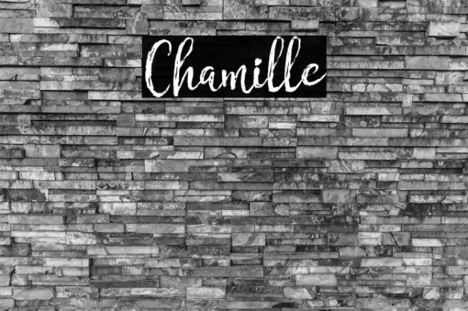 Chamille Font examples