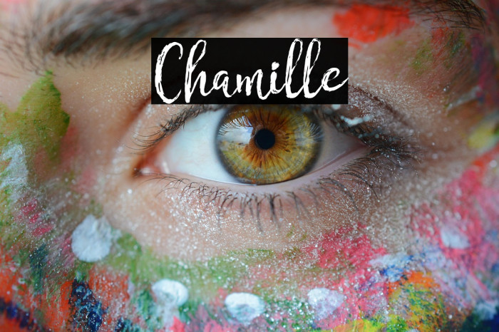 Chamille Example 3