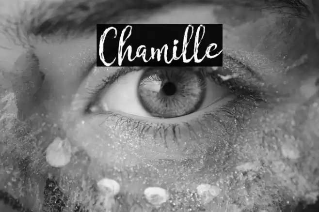 Chamille Font examples