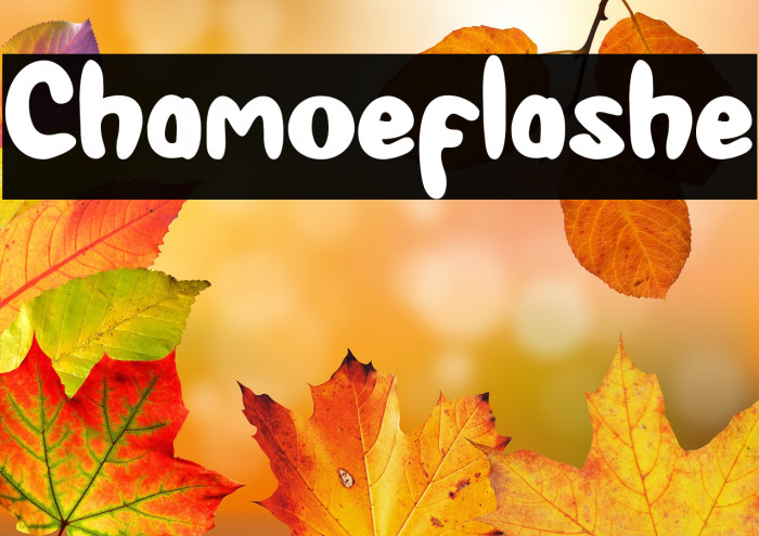 Chamoeflashe Example 1