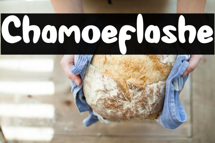 Chamoeflashe Example 2