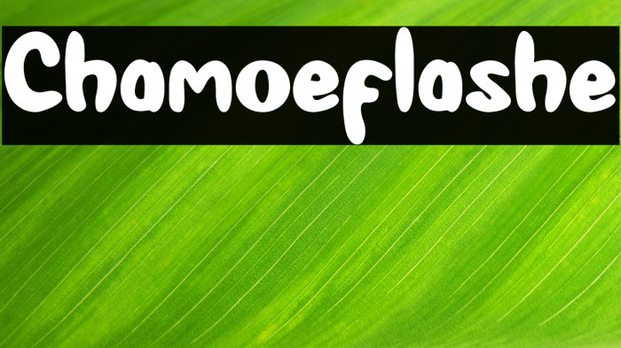Chamoeflashe Example 3