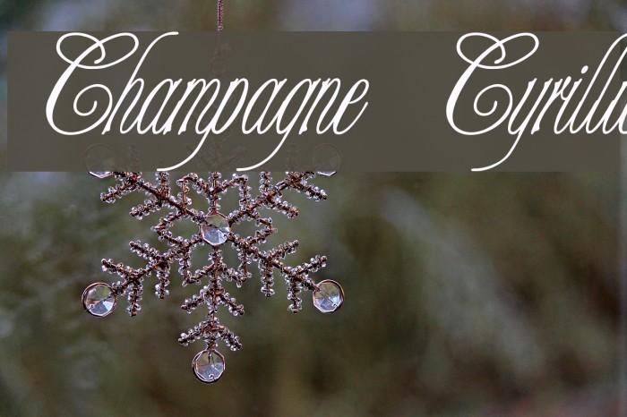 Champagne Cyrillic Font examples