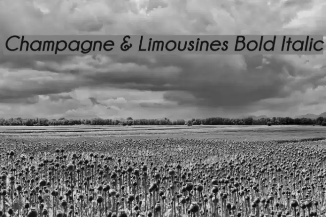Champagne & Limousines Bold Italic Fuentes examples