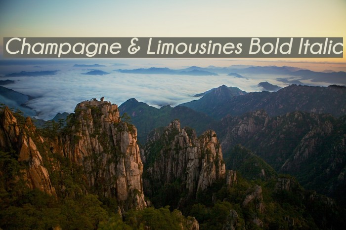 Champagne & Limousines Bold Italic Font examples
