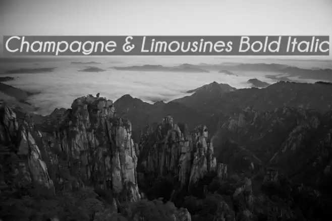 Champagne & Limousines Bold Italic Fuentes examples
