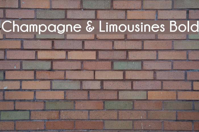 Champagne & Limousines Bold Font examples