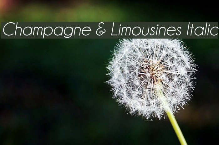 Champagne & Limousines Italic Font examples