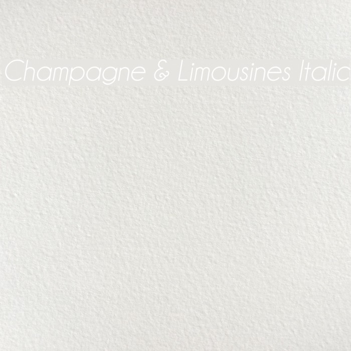 Champagne & Limousines Italic Font examples