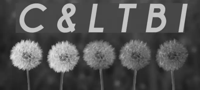 Champagne & Limousines Thick Bold Italic Font examples