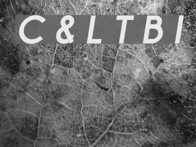 Champagne & Limousines Thick Bold Italic Font examples