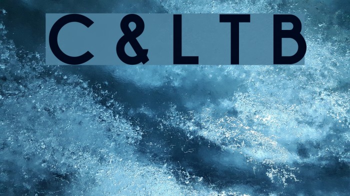 Champagne & Limousines Thick Bold Font examples