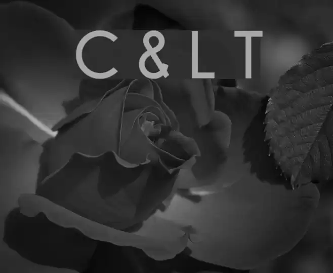 Champagne & Limousines Thick Font examples