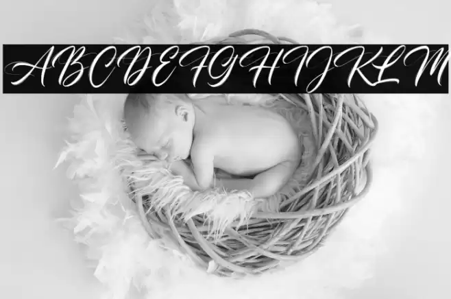 Champagne Font examples