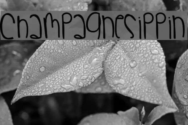 ChampagneSippin Font examples
