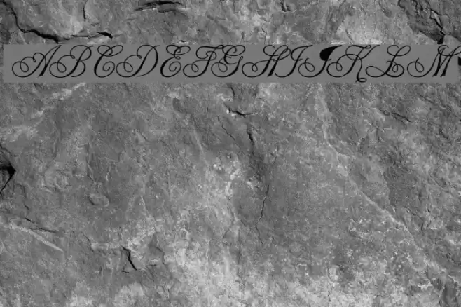 Champagne Polices examples