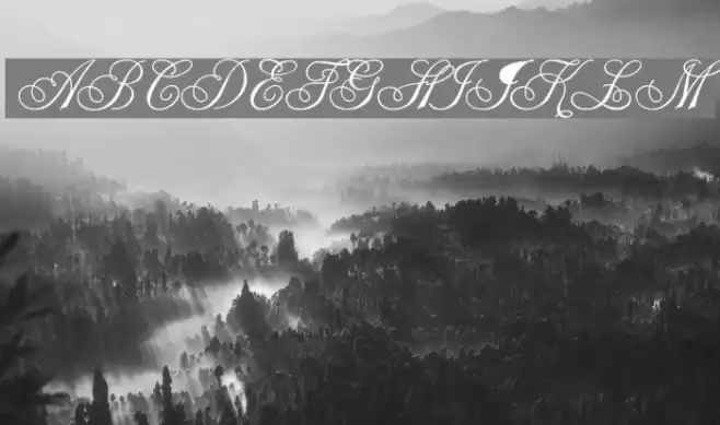 Champagne Polices examples