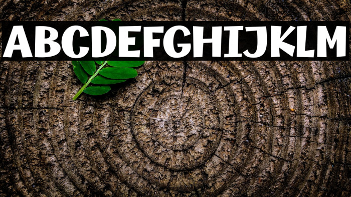 Champigna-Black Example 2