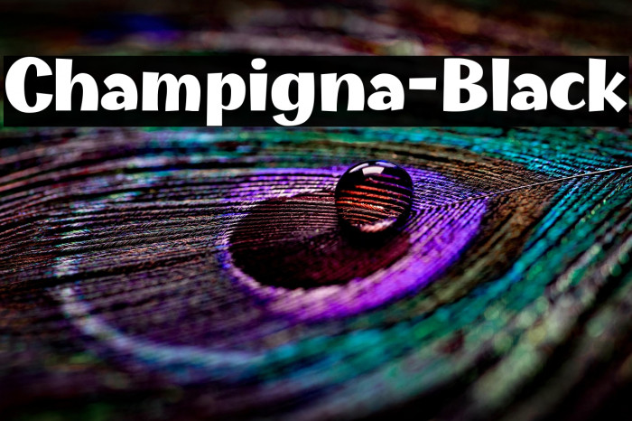 Champigna-Black Example 2