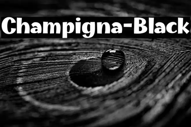 Champigna-Black Font examples