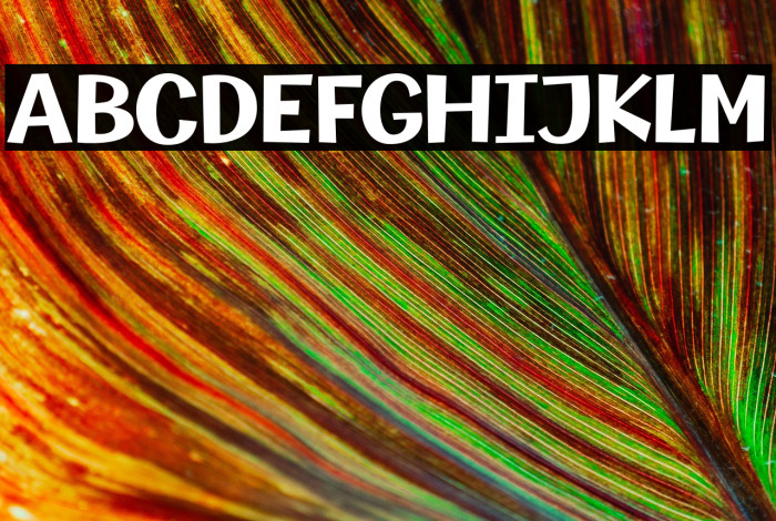 Champigna-Bold Example 2