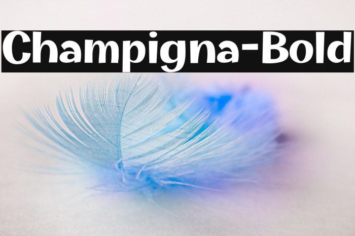 Champigna-Bold Example 2