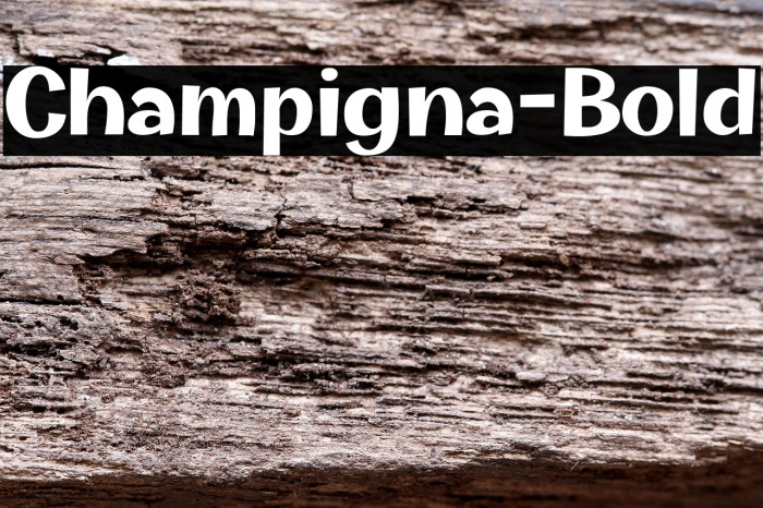 Champigna-Bold Example 3