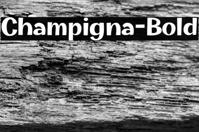 Champigna-Bold Font examples