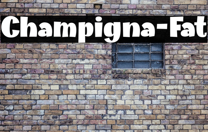 Champigna-Fat Example 1