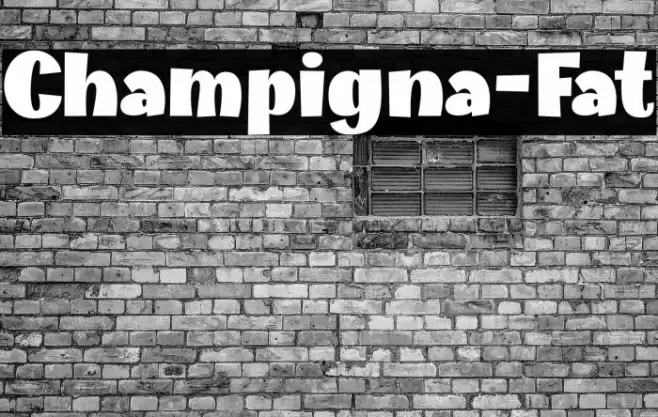 Champigna-Fat Font examples