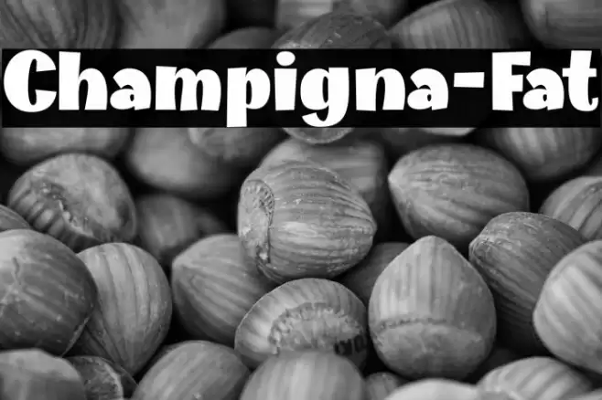 Champigna-Fat Font examples