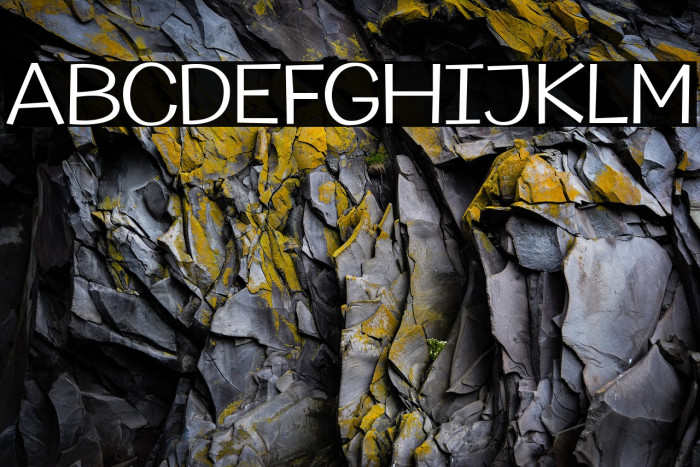 Champigna-Light Example 2