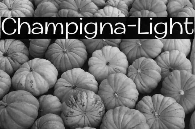 Champigna-Light Font examples