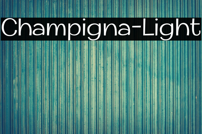 Champigna-Light Example 3