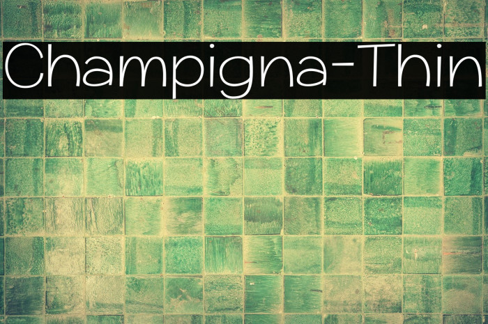 Champigna-Thin Example 3