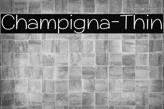 Champigna-Thin Font examples