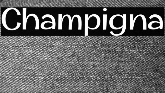 Champigna Font examples