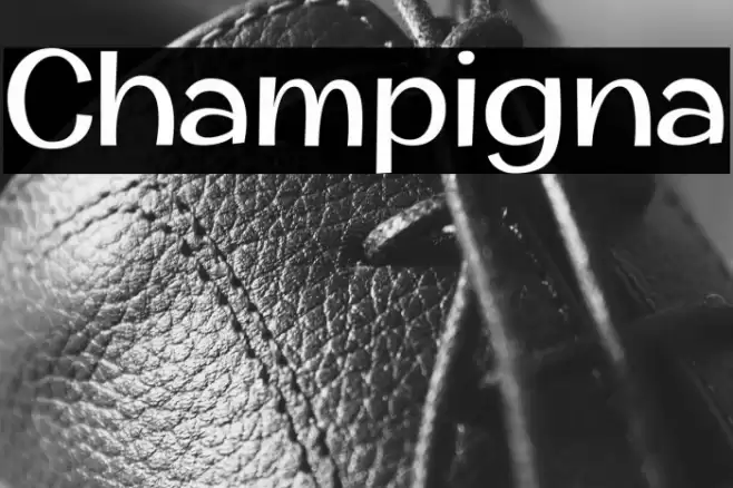 Champigna Font examples