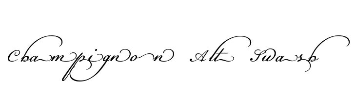 Champignon Alt Swash Font