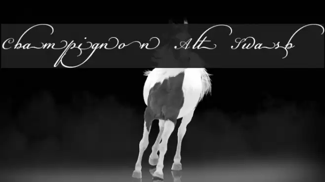 Champignon Alt Swash Font examples