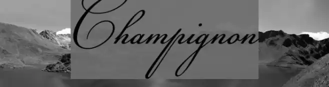 Champignon Font examples