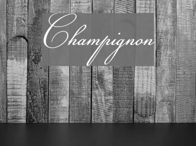 Champignon Font examples