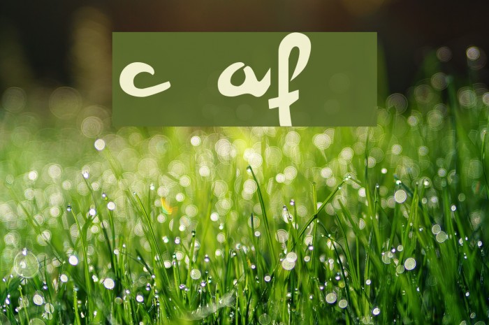 Champion AF [unregistered] Example 3